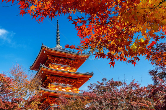 日本京都枫叶风光图片