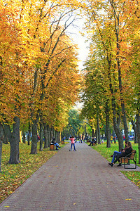 中心城市公园人们在秋天有长椅的街道小巷散步秋天的季节树上黄叶人们在秋天的城市公园里散步人们在公园里休息人们在秋天的城市公园里散步图片