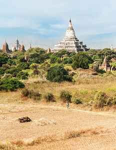 古老的日出缅甸Bagan王国古老佛教寺庙的令人惊叹建筑缅甸布甘王国阿难图片
