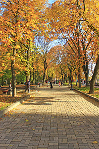 城市公园人们在秋天有长椅的街道小巷散步秋天的季节树上黄叶人们在秋天的城市公园里散步人们在公园里休息人们在秋天的城市公园里散步秋天图片