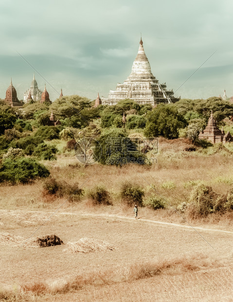 宗教缅甸Bagan王国古老佛教寺庙的令人惊叹建筑缅甸布甘王国日出户外图片