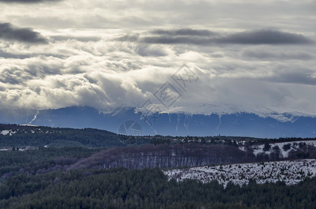 环境景观雄伟云层天空冬山雪地寒冷的森林从平塔山到保加利亚欧洲里拉山的松林和衰落森图片