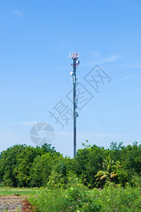 接收者数据连电讯天线该站位于一个高树木覆盖的区域内面积长图片