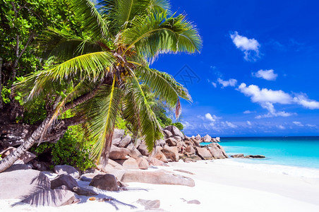 海岸全景Praslin岛塞舌尔美丽的热带海滩以花岗岩闻名晴天图片