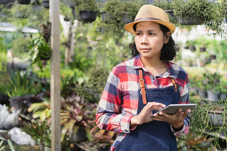 亚洲妇女正在使用平板检查Ornamentmental植物商店的被小企业概念商自然一种查看图片