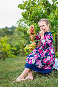 孩子在花园里有葡萄的小女孩快乐可爱的宝吃葡萄在花园里有葡萄的小女孩户外季节图片