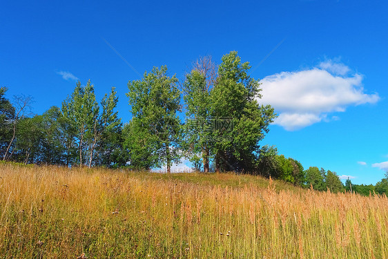 自然明亮的牧场美丽夏季风景有树木草天空和云彩图片