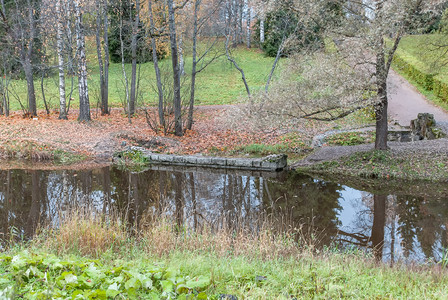 草秋季户外公园景观平静公园安的池塘环境下雨图片
