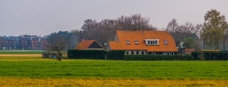 农村的大型户住房典的荷兰土制建筑学村庄乡村的高清图片素材