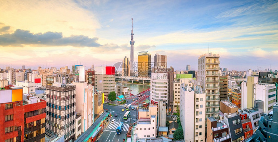 日落时本东京浅草地区的顶端景色树寺庙建造图片