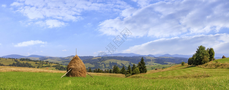 干草堆在山坡上的地在阳光明媚的日子里美丽山景全喀尔巴阡山脉乌克兰干草堆站在地上背景是喀尔巴阡山脉和坡区自然景观图片
