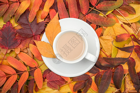 多色秋叶上的咖啡图片
