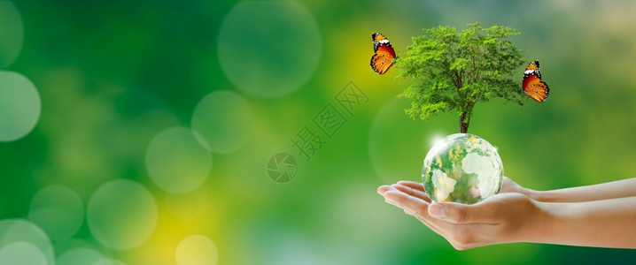 水晶商业与蝴蝶绿色背景博克世界心理健康和地球日拯救环境和世界生态概念一起在环球晶玻璃上开花的树闪亮散景图片