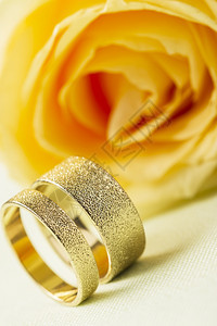 星期三黄玫瑰两枚优雅的结婚戒指黄玫瑰两枚高雅的彩纹金婚戒白底背靠在色景上站立专注戒指以获得时髦的贺卡或婚礼邀请配饰新鲜的图片