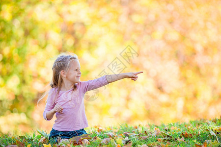 可爱的小女孩在户外美丽的秋日肖像与惊人秋树背景可爱的小女孩在美丽秋天户外气叶子门14图片