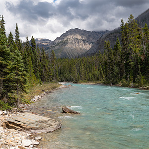 加拿大不列颠哥伦比亚省Kootenay公园内平静河流景象的全图之内农村生物群落图片