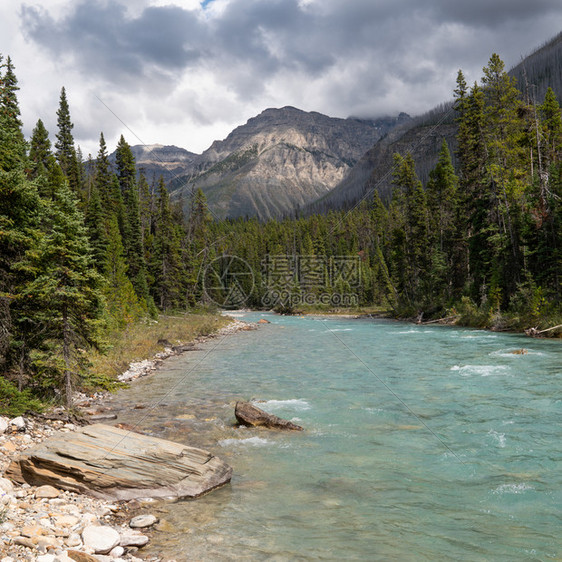 加拿大不列颠哥伦比亚省Kootenay公园内平静河流景象的全图之内农村生物群落图片