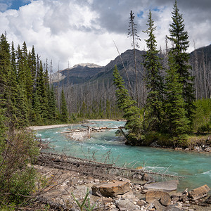 加拿大不列颠哥伦比亚省Kootenay公园内平静河流景象的全图户外观环境图片