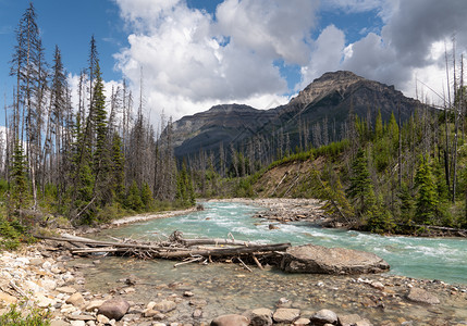 溪北加拿大不列颠哥伦比亚省Kootenay公园内平静河流景象的全图山脉图片