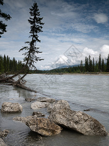 加拿大不列颠哥伦比亚省Kootenay公园内平静河流景象的全图生物圈库特尼北图片