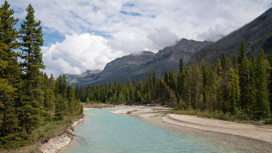 溪水美丽加拿大不列颠哥伦比亚省Kootenay公园内平静河流景象的全图图片