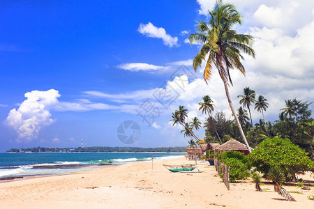 风景游客树外来热带休眠日斯里兰卡南部海滩上的坦噶勒岛和斯里兰卡自然的宁静美丽海滩图片