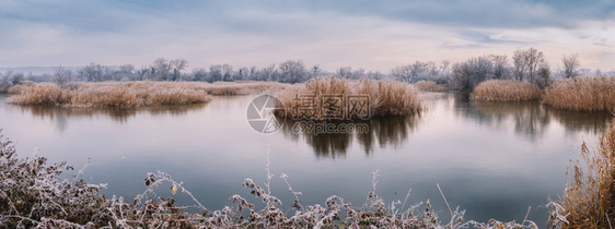 霜自然冬季湖岛群景观图片