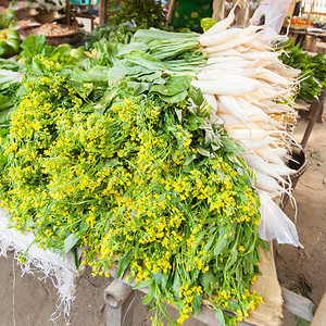 传统当地香料和daikon萝卜蔬菜在缅甸Bagan旅游目的地户外Asiian市场销售印度支那农业根图片