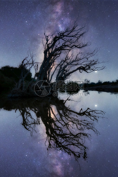 黑暗的繁星点美丽奶形银河系有干树和Mekong河的乳色阴影Khangchiang黑帮UbonRatchathani泰国Kilky图片
