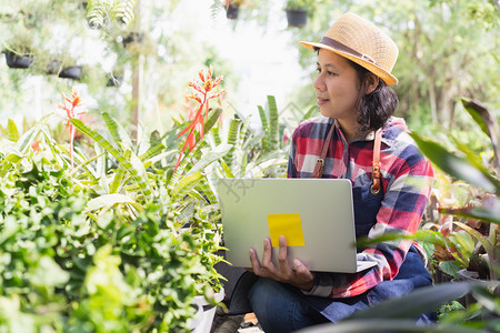 花的绿色亚洲妇女正在使用笔记本电脑检查Ornamental植物商店的被小企业概念图片