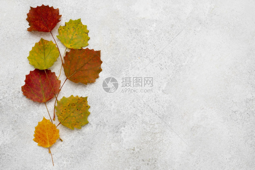 秋天多色的落叶图片