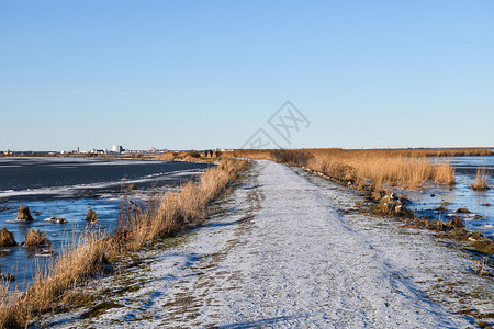 斯瓦迪什岛奥兰的一个沼泽地上雪穿过草丛湿地冬天荒野图片