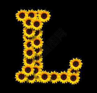 装饰品黄色的首字母L由黄色向日葵花制成在黑色背景上隔绝的花朵设计爱情概念的元素为母亲们设计理想一天和春季主题妈们图片
