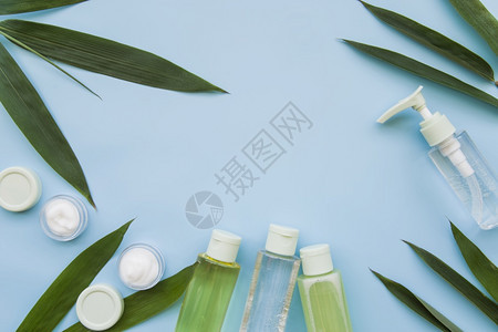美丽的光照自然容产品装饰着蓝叶的天然美容产品绿色树皮的天然美容产品化妆复制树叶图片