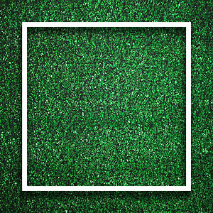 草地有机的明亮绿色草上矩形方白边框缘带有阴影背景装饰元素概念复制文本插入空格以填黑色间的文本图片