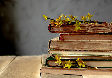 古老的木桌上旧书黄叶树枝概念背景木桌上的旧书黄叶树枝日记智慧图片