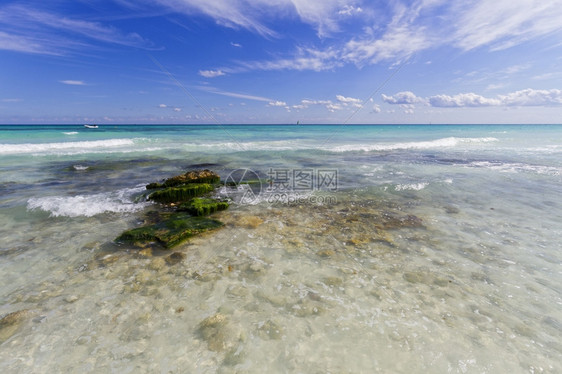 白色的加勒比海滩与水清透的海岸景象蓝色的孤独图片