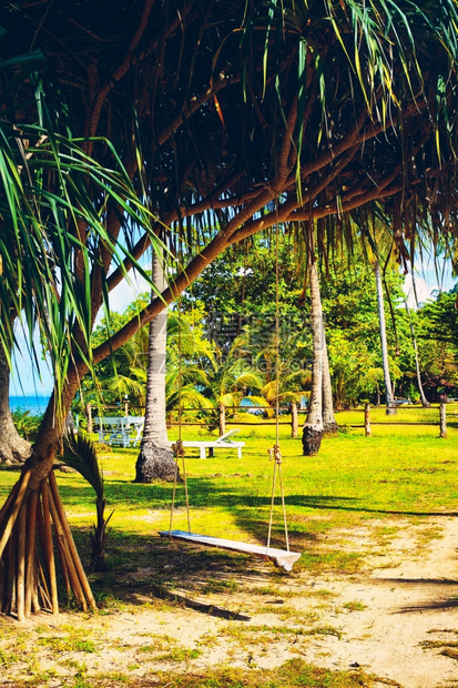 在泰国克拉比丛林度假胜地的树下摇摆假期天篷太阳图片