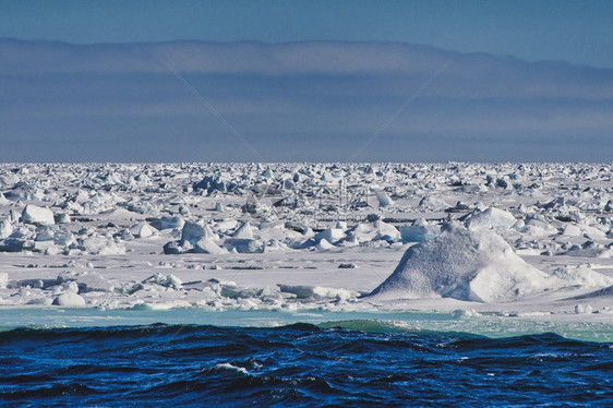 野生动物放松自然海冰80N包装的边缘北极挪威斯瓦尔巴欧洲图片