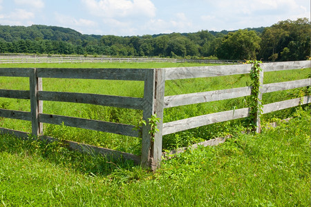 农场上古老木栅栏的景象观建成优质的图片