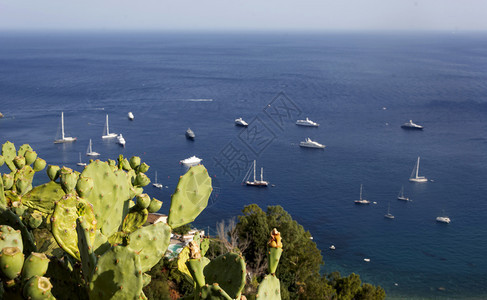 旅游仙人掌植物在意大利西里Taormina以渔船俯冲离子海天空岸图片