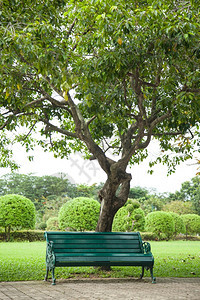 春天安静冷的坐在公园走廊一带的A座椅上在树下坐席图片