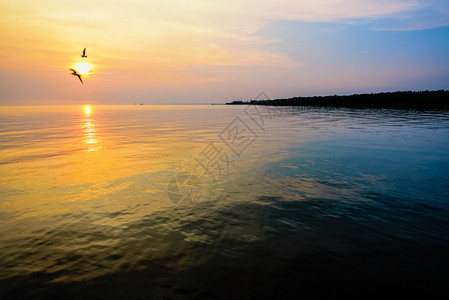 美丽的自然风景为本底明日阳光的金照耀着水两只鸟一对海鸥在黄色橙的天空上飞翔日落时空中有黄色橙的天空泰国邦浦地平和美丽夕阳两只鸟在图片