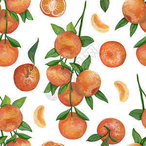 插图画出无缝的图案现实植物绘画配有丙烯涂料处含橘子水果整条切片和的柑橘白底面上隔离的色薄茄子设计用的元素壁纸夏天饮食图片