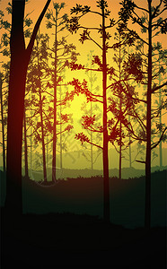 季节日出和落晚夕树木山丘的浅影树木和山丘的背影风日月亮和落时的花边壁纸说明矢量风格公园多雾路段图片