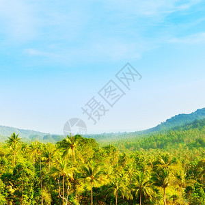 美丽的热带风景高角度视图泰国山蓝色的爬坡道图片