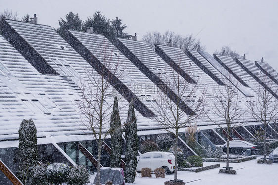 排一种小屋冬季荷兰一个村庄下雪天气寒冷在荷兰的Dutch社区有顶尖屋的现代住房图片