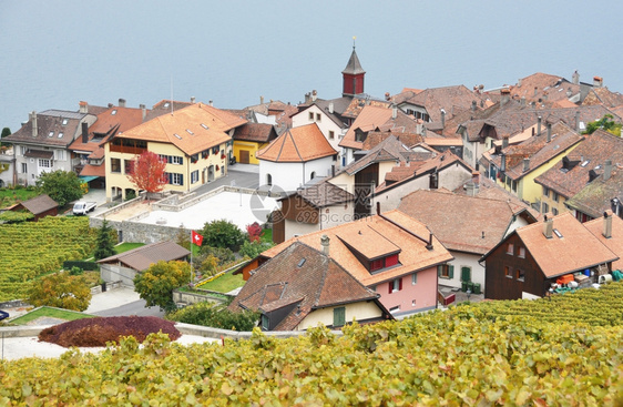 日内瓦瑞士拉沃风景乡村的图片