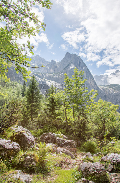 树范围谷在阿尔卑斯山远足旅行图片