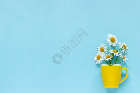 颜色马克杯淡蓝纸背景上黄杯子中的花束洋甘菊雏复制空间模板用于明信片刻字文本或您的设计字母文或您的设计平躺顶视图概念你好夏天植物图片